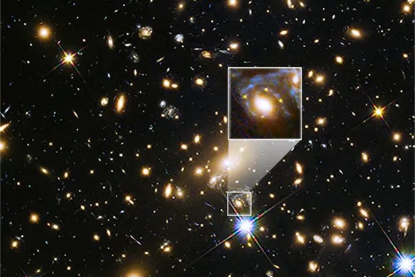 A nearby supernova could end the search for dark matter