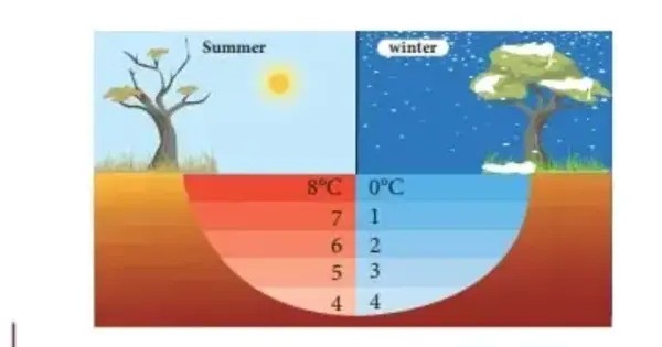 Deciphering the Unusual Features of Water