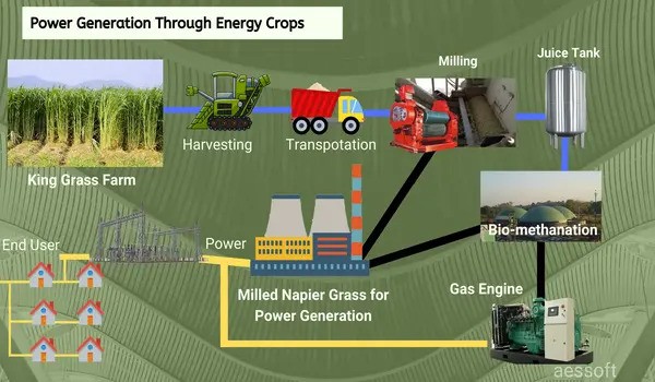 Win-win potential of grass-powered energy production