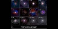 26,000 Dead Star Surveys validate important aspects of extreme Stellar Activity