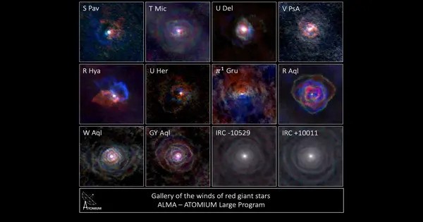 26,000 Dead Star Surveys validate important aspects of extreme Stellar Activity