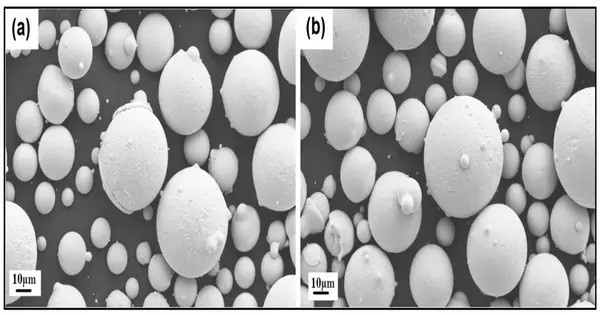 Nickel Silicides