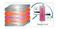 Solving the Interface Problem in Organic Solar Cells increases their Efficiency