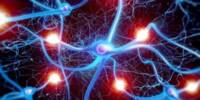 A Laser-based Artificial Neuron can quickly replicate the actions of Nerve Cells