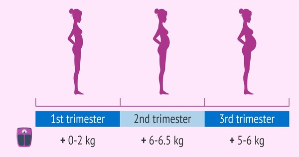 Excess Weight Increase in the First Trimester is connected with Fetal Fat Buildup