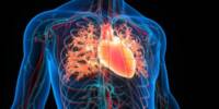 Heart Disease continues to be the Leading Cause of Death, while important Health Risk factors increase