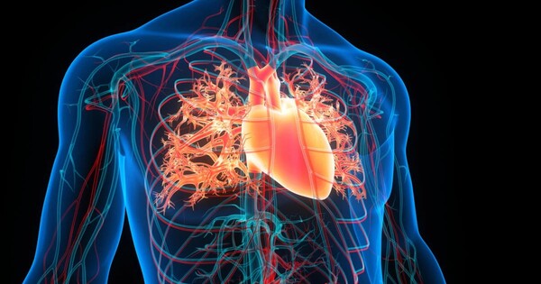 Heart Disease continues to be the Leading Cause of Death, while important Health Risk factors increase