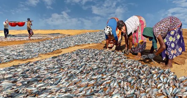 Small-scale Fisheries are vital to the World’s Livelihoods and Nutrition