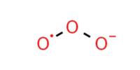 Sodium Ozonide (NaO3)