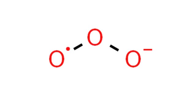 Sodium Ozonide (NaO3)