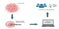 AI Forecasts Cancer Outcomes and Treatment Outcomes