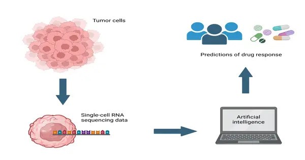 AI Forecasts Cancer Outcomes and Treatment Outcomes