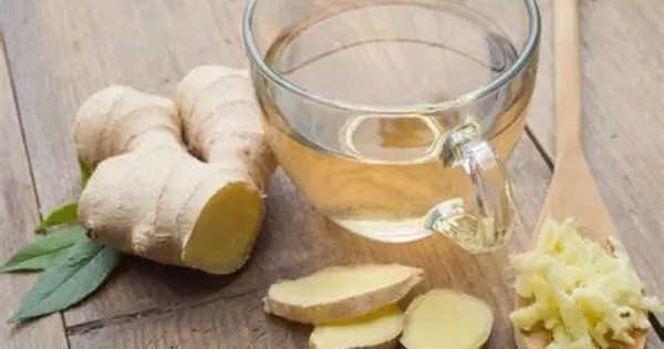 Ginger Chemical may help Cure Inflammatory Bowel Illness