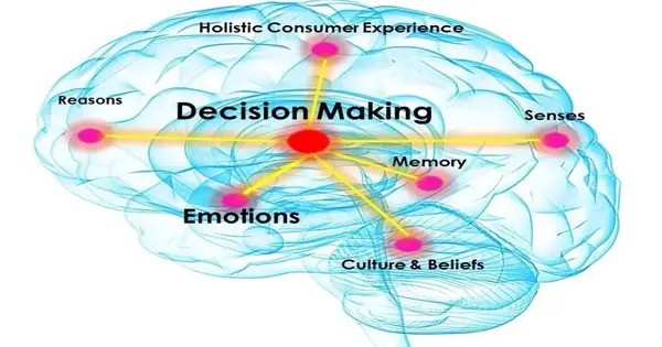 How the Brain makes Decisions by Weighing Reward and Risk