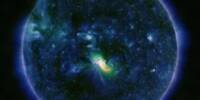 Distant Suns Wrapped in Black Patches may Shape the Search for Life