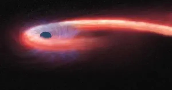 New Evidence of Intermediate-mass Black Holes is found by Scientists