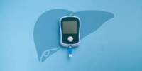 Unexpected Gut research identifies a hidden cause of Liver Illness and Diabetes