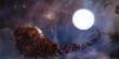 A White Dwarf has been spotted eating a Frozen World similar to Pluto