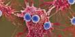 Bacteria lurking behind Tumors could help defeat Cancer