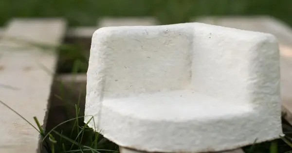 Mushroom-powered Living Computers
