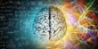 Perhaps the Cost of Human Brilliance is Autism