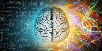 Perhaps the Cost of Human Brilliance is Autism