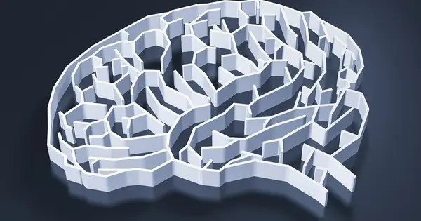 Researchers Find the Brain’s Secret Learning Blocks