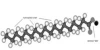 Silver Stearate
