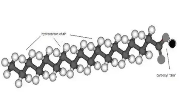 Silver Stearate