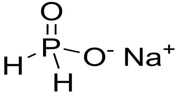 Sodium Hypophosphite
