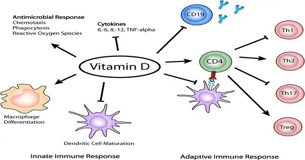 The Immunity-weakening Vitamin D Error