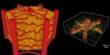A Chip with naturally occurring Blood Vessels