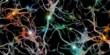 Artificial Neurons that act like actual Brain Cells
