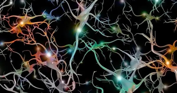 Artificial Neurons that act like actual Brain Cells