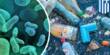 Bacteria found in the Ocean that consume Plastic