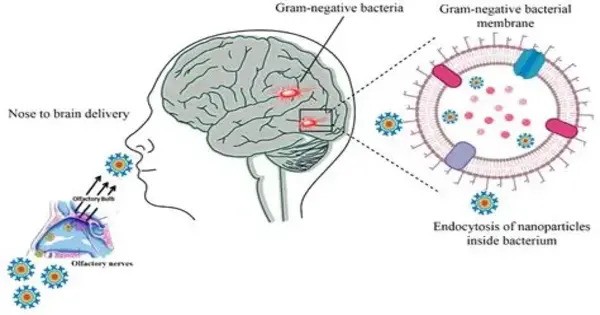 Bacterial Nanopores have Brain-like Learning Capabilities