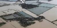 Extreme Floods are lowering worldwide Rice Production quicker than Projected