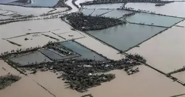 Extreme Floods are lowering worldwide Rice Production quicker than Projected