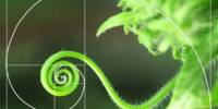 Freedom is inherent to Nature’s Math