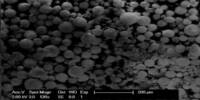 Neodymium Nickelate