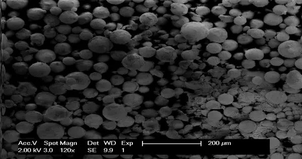 Neodymium Nickelate