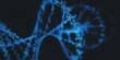 Scientists Capture Astonishing real-time Photos of DNA damage and repair