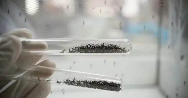Scientists Transform Flower Smell into a Mosquito Killer