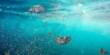 Invisible Chemical Clouds are being released into Water by Microplastics