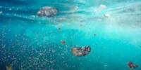 Invisible Chemical Clouds are being released into Water by Microplastics