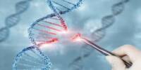 New Discovery provides Genuine hope for rare Genetic Diseases