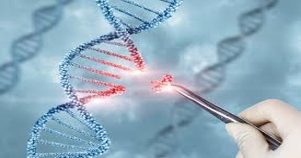 New Discovery provides Genuine hope for rare Genetic Diseases
