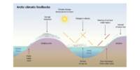 Researchers discovered a Risky Feedback Loop that is speeding up Arctic Warming