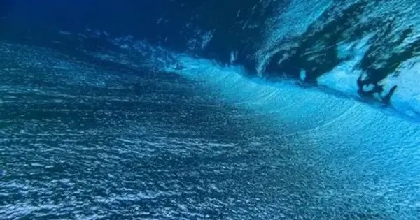 Researchers find a Hidden, vibrant Deep-sea Hotspot