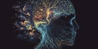 Researchers find an unexpected Method to Calm the Nervous Mind